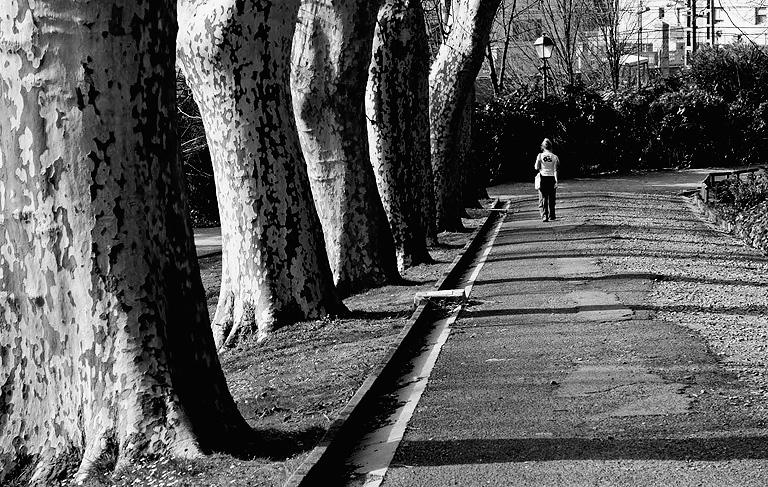 Aquella-tarde-en-el-parque.jpg
