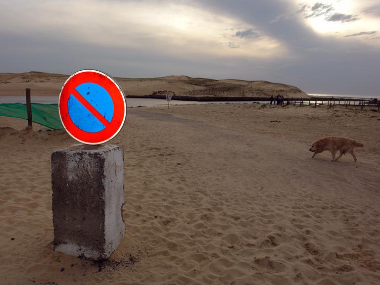 En-busca-del-rastro.jpg