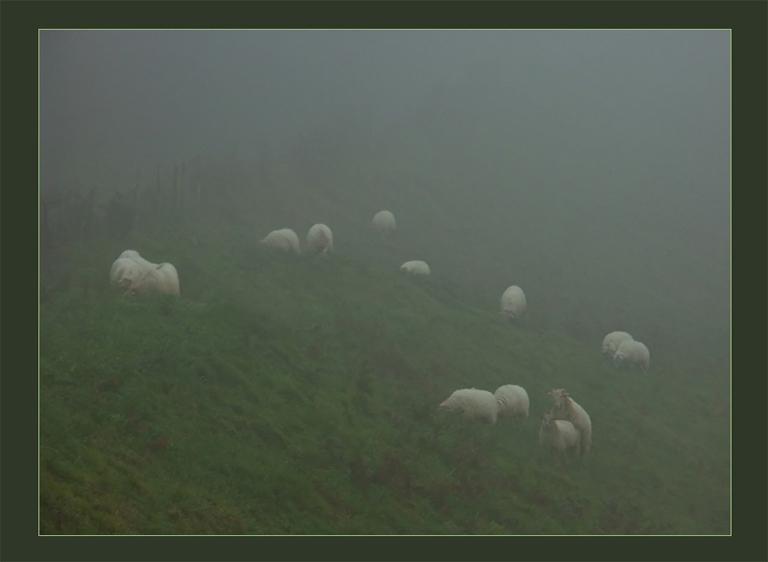 Romance-en-la-niebla.jpg
