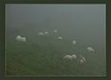 Romance-en-la-niebla