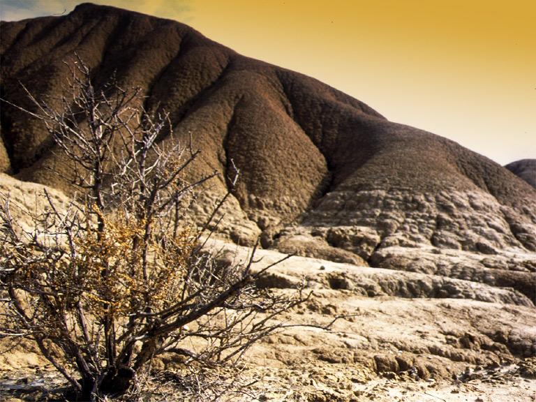 Bardenas.jpg
