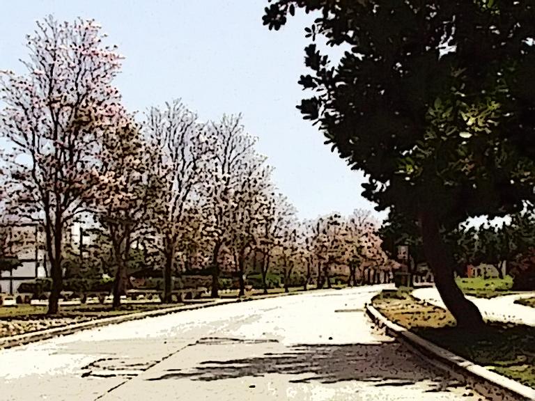 La-avenida-de-la-esperanza.jpg