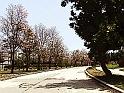 La-avenida-de-la-esperanza